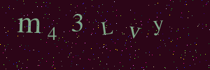 Validation image
