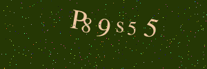 Validation image